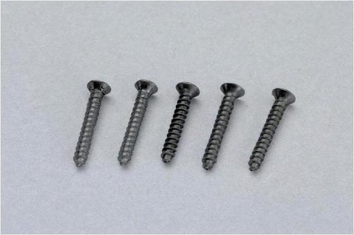 55487 H0 Piko A-rails Railsschroeven