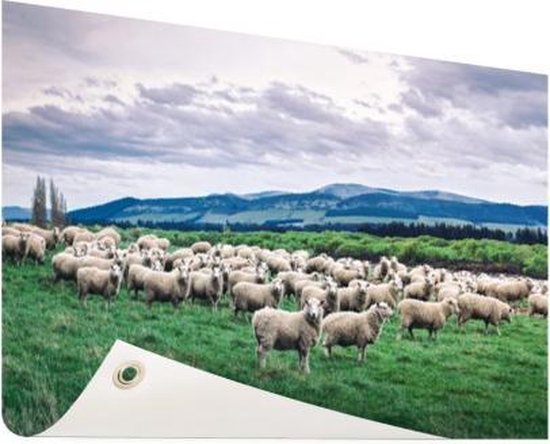 Tuinposter 120x80 cm - Tuindecoratie Schapen - Natuur - Gras - Poster voor in de tuin - Buiten decoratie - Schutting tuinschilderij - Tuindoek muurdecoratie - Wanddecoratie balkondoek