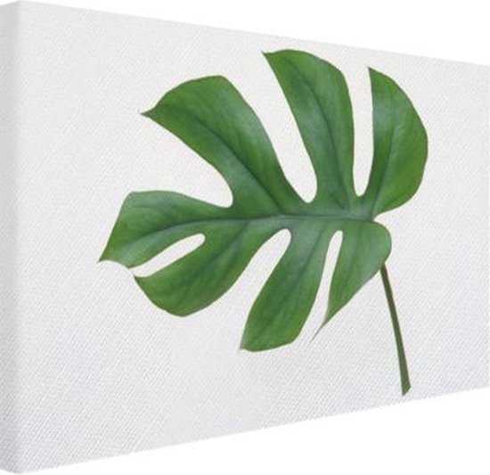 Botanische print blad Canvas 120x80 cm Foto print op Canvas