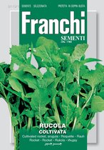 Franchi - Rucola Coltivata - notensla