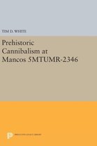 Prehistoric Cannibalism at Mancos 5MTUMR-2346