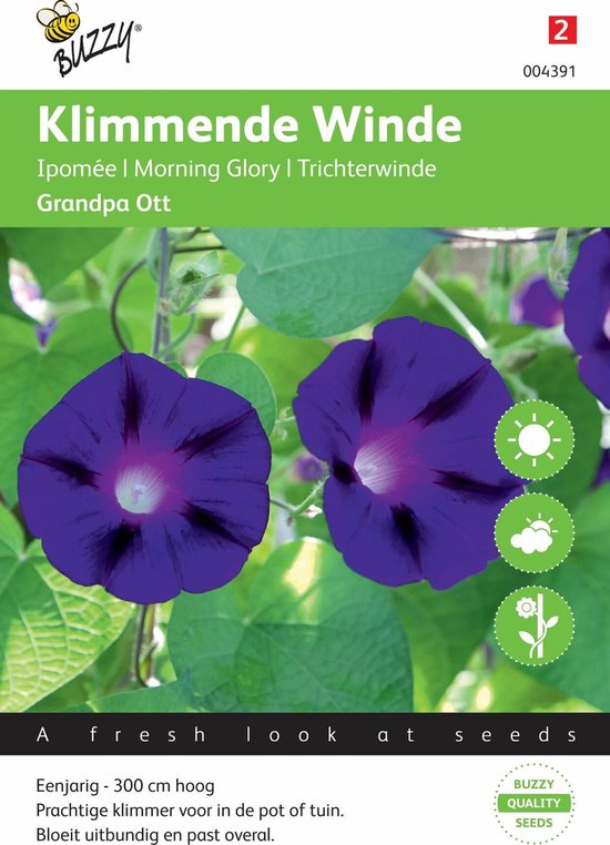 Buzzy Zaden - Klimmende Winde Grandpa Ott (Ipomoea purpurea)