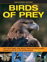 Exploring Nature Birds Of Prey
