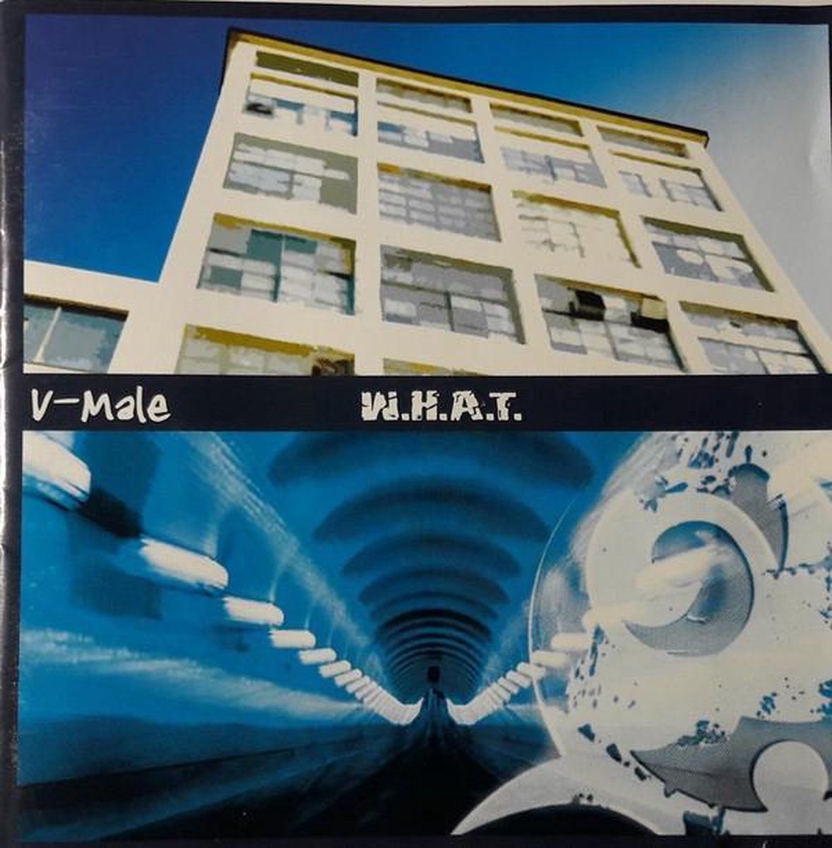 V-Male ‎– W.H.A.T.