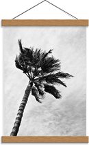 Schoolplaat – Palmboom in Zwart Wit - 30x40cm Foto op Textielposter (Wanddecoratie op Schoolplaat)