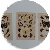 Forex Wandcirkel - Tekeningen van Vlinders  - 30x30cm Foto op Wandcirkel (met ophangsysteem)