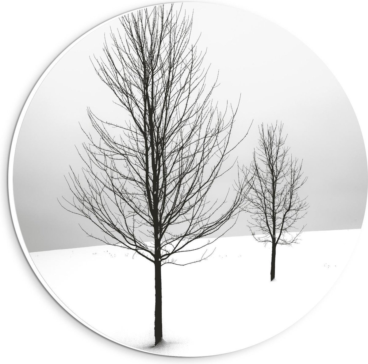 Forex Wandcirkel - Bomen op Besneeuwd Gebied - 20x20cm Foto op Wandcirkel (met ophangsysteem)