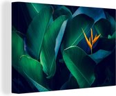 Canvas Schilderij Tropische bladeren met bloem - 30x20 cm - Wanddecoratie