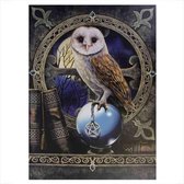 Canvas 50x70cm  - Spell Keeper - Lisa Parker