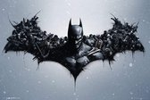 Poster Batman Origins Arkham Bats 61cm x 91.5cm