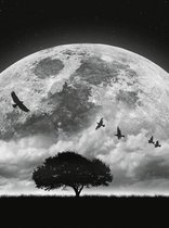 Fotobehang - Moon and Birds 192x260cm - Vliesbehang