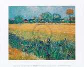 Kunstdruk Vincent Van Gogh - Vista di Arles Con Irises 30x24cm