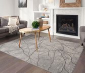 Aricia Modern Vloerkleed -Marmer Design - Zilver 200x290 cm