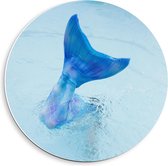Forex Wandcirkel - Blauwe Zeemeermin staart in het Water - 40x40cm Foto op Wandcirkel (met ophangsysteem)