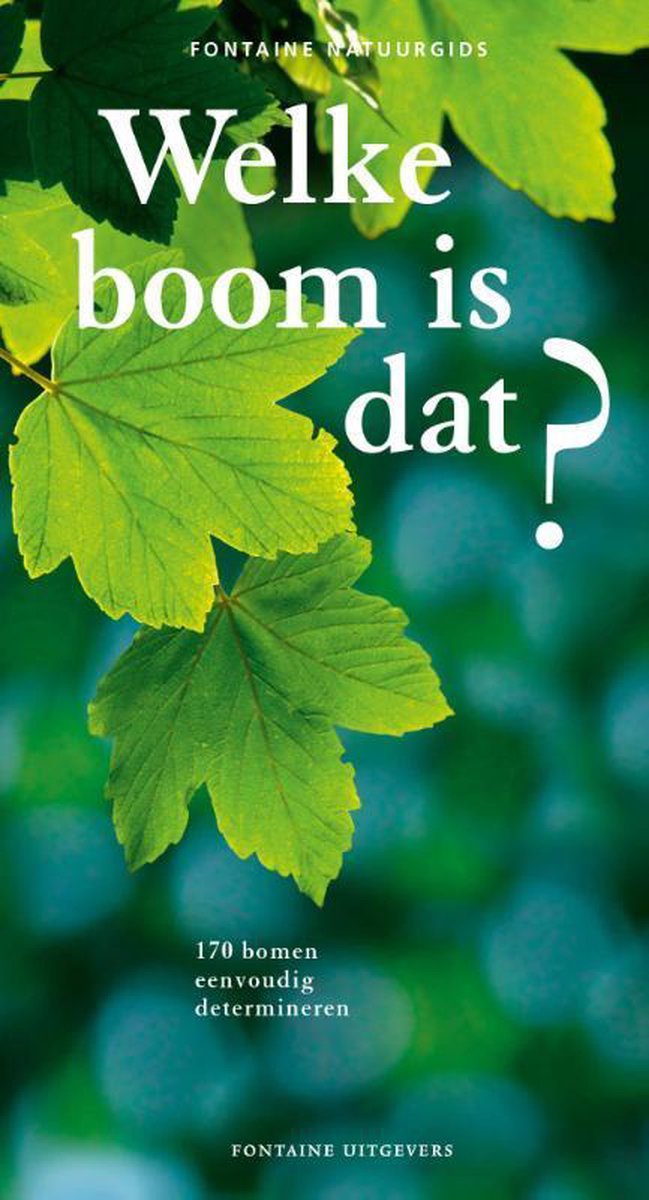 Welke Boom Neemt Meeste Co2 Op bol.com | Welke boom is dat?, Joachim Mayer | 9789059567764 | Boeken