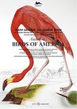 Giant Colouring Book Birds Of America