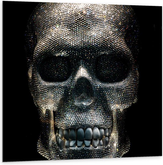 Dibond - Doodshoofd met Glitters - 100x100cm Foto op Aluminium (Wanddecoratie van metaal)