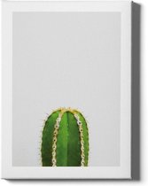 Walljar - Cactus II - Muurdecoratie - Plexiglas schilderij