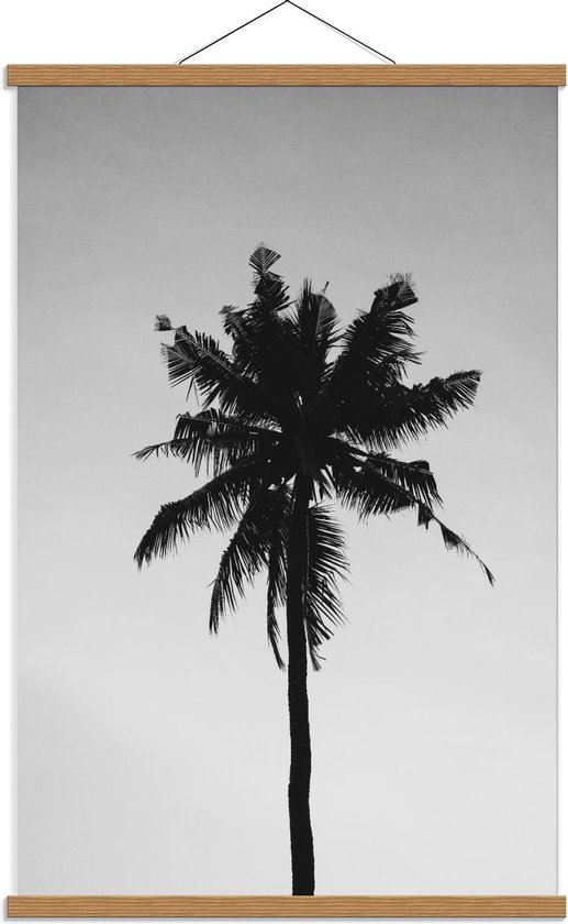 Schoolplaat – Silhouet van Palmboom  - 60x90cm Foto op Textielposter (Wanddecoratie op Schoolplaat)