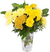 Kim Medium Yellow(Kim Medium Yellow)