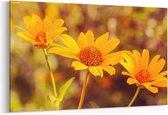 Schilderij - Beautiful flowers, spring — 100x70 cm