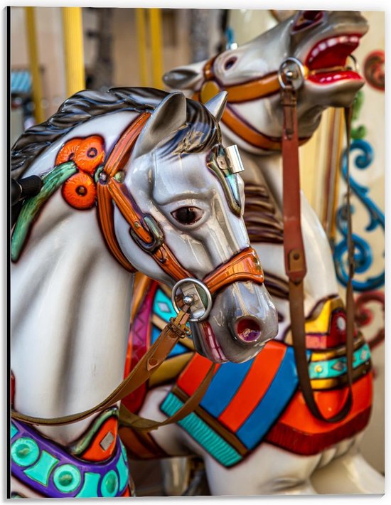 Dibond - Paarden in Draaimolen - 30x40cm Foto op Aluminium (Wanddecoratie van metaal)