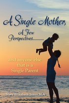 A Single Mother, A Few Perspectives..And Anyone Else That is a Single Parent