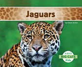 Big Cats - Jaguars
