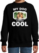 Sheltie honden trui / sweater my dog is serious cool zwart - kinderen - Shelties liefhebber cadeau sweaters 12-13 jaar (152/164)