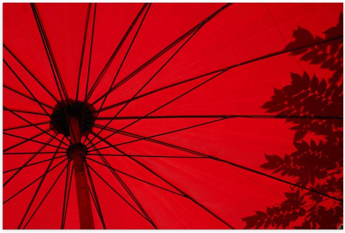 Poster – Rode Parasol - 60x40cm Foto op Posterpapier