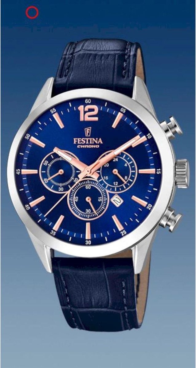 Festina Herenhorloge F20542-4