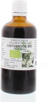 Cistus Incana / Cistus Roos Tinctuur Bio - 100Ml