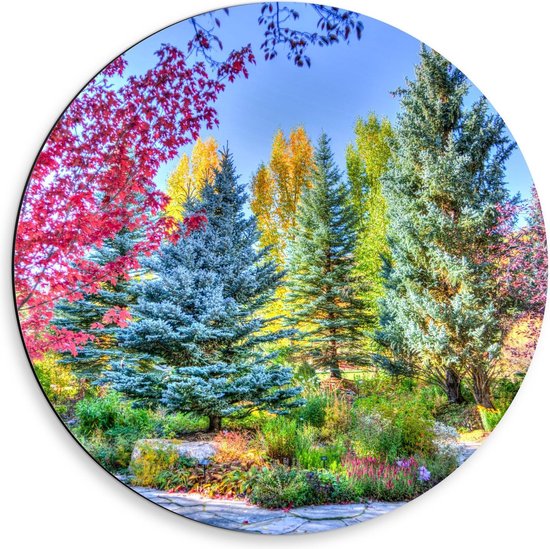 Dibond Wandcirkel - Gekleurde Bomen bij Elkaar - 50x50cm Foto op Aluminium Wandcirkel (met ophangsysteem)