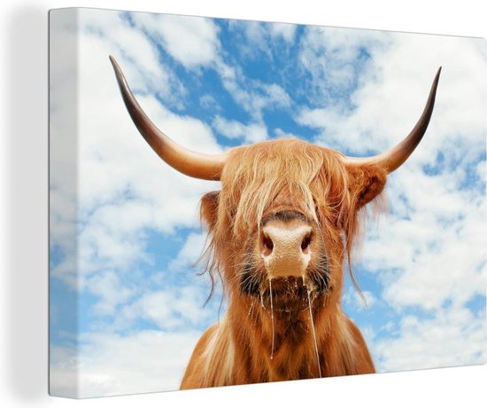 MuchoWow© Canvas Schilderij 50x70 cm Kamer Decoratie Woonkamer Slaapkamer Room Decor Wanddecoratie Wall Art Painting Schotse hooglander - Badkuip - Badkamer - Krant