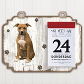 Scheurkalender 2023 Hond: American Staffordshire Terrier