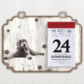 Scheurkalender 2023 Hond: Labradoodle