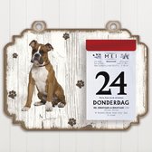 Scheurkalender 2023 Hond: Boxer bruin