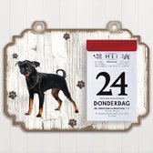 Scheurkalender 2023 Hond: Petit Brabancon