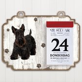 Scheurkalender 2023 Hond: Schotse Terriër