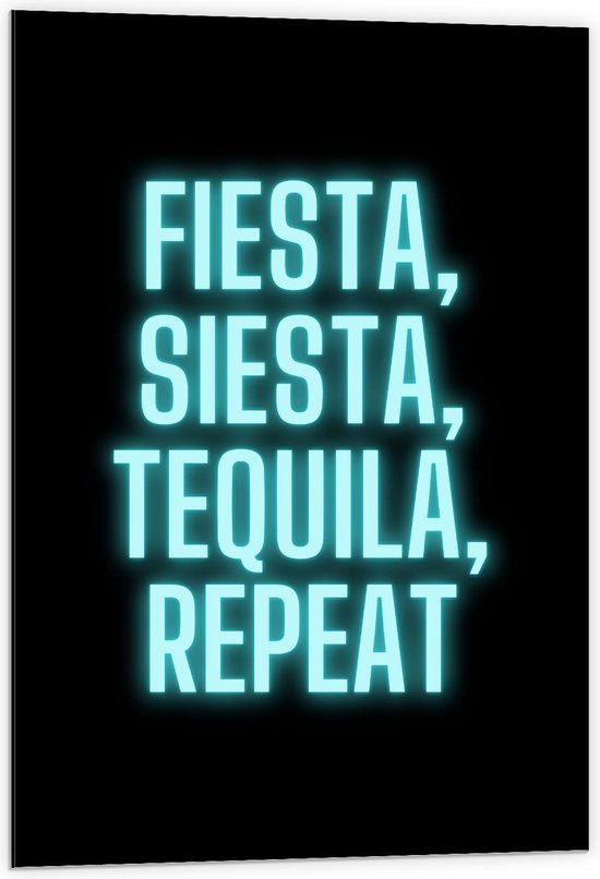 Dibond - Tekst: ''Fiesta, Siesta, Tequila, Repeat'' zwart/blauw - 60x90cm Foto op Aluminium (Wanddecoratie van metaal)
