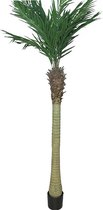 By Kohler Areca Palm Maui M / Pot 210x50x30cm (110524)