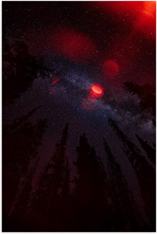 Poster - Rood Licht - Foto op Posterpapier