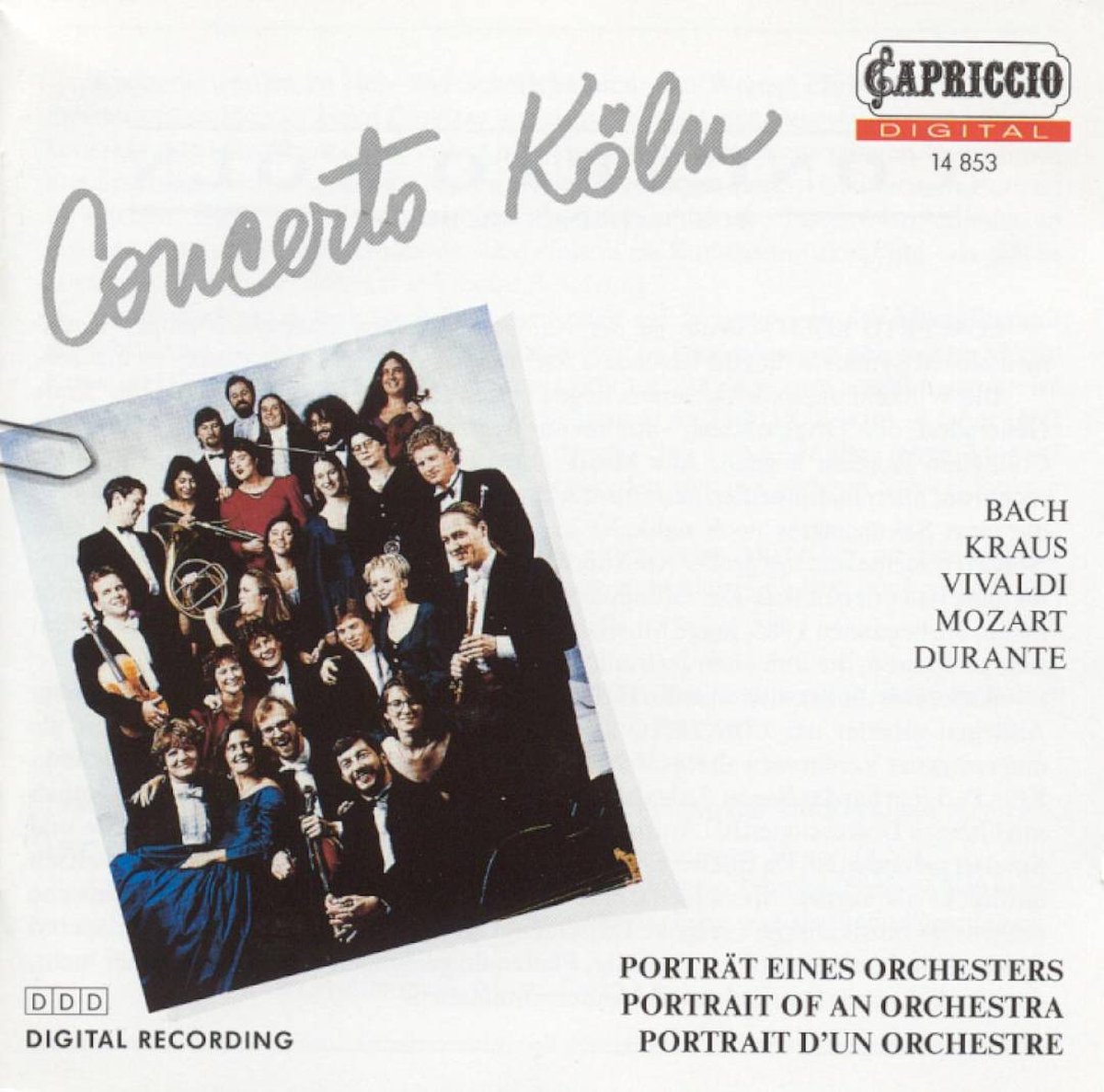 Porträt Eines Orchesters