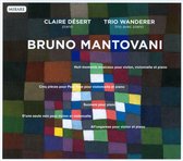 Trio Wanderer Desert - Musique De Chambre (CD)