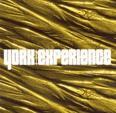 Experience