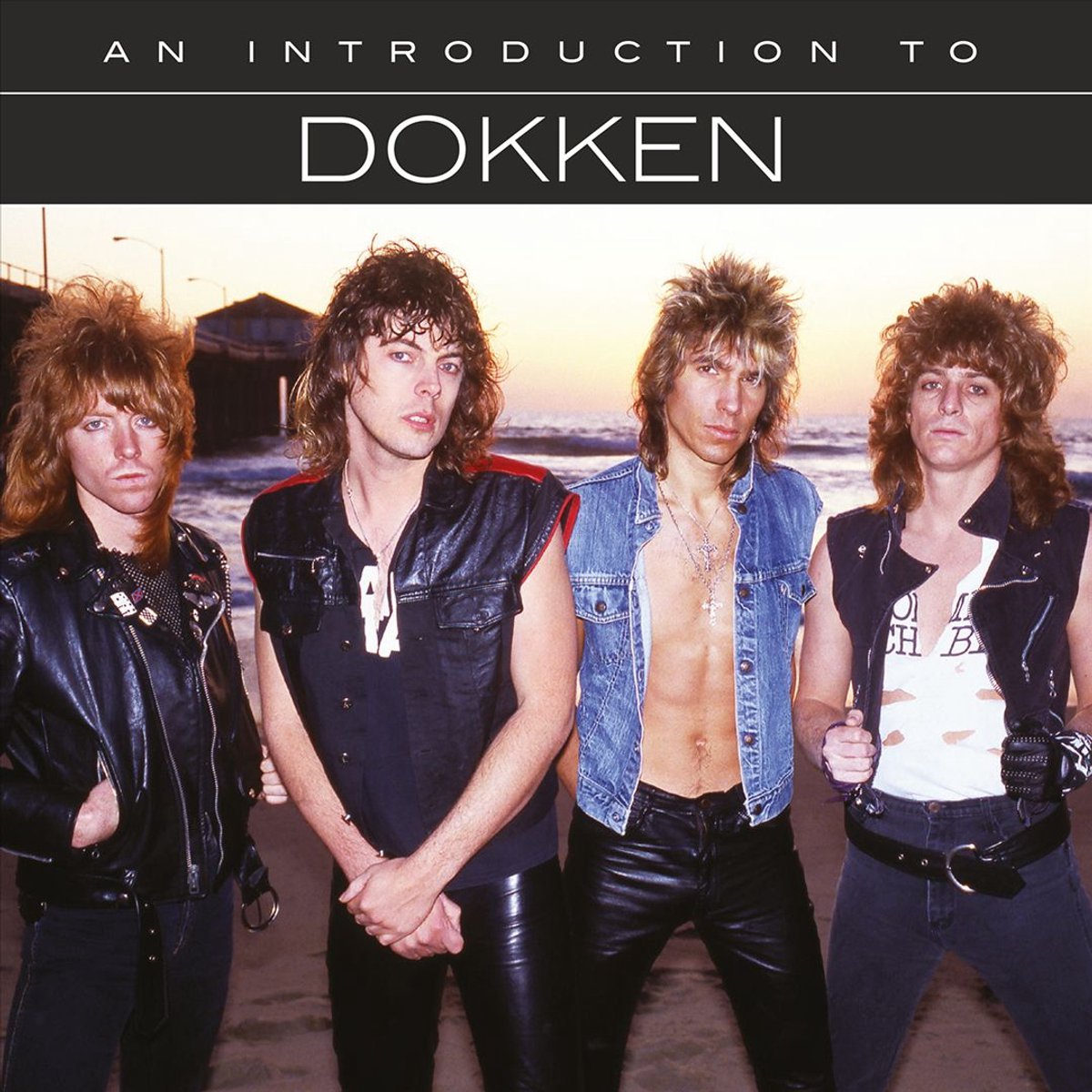 Dokken - An Introduction To