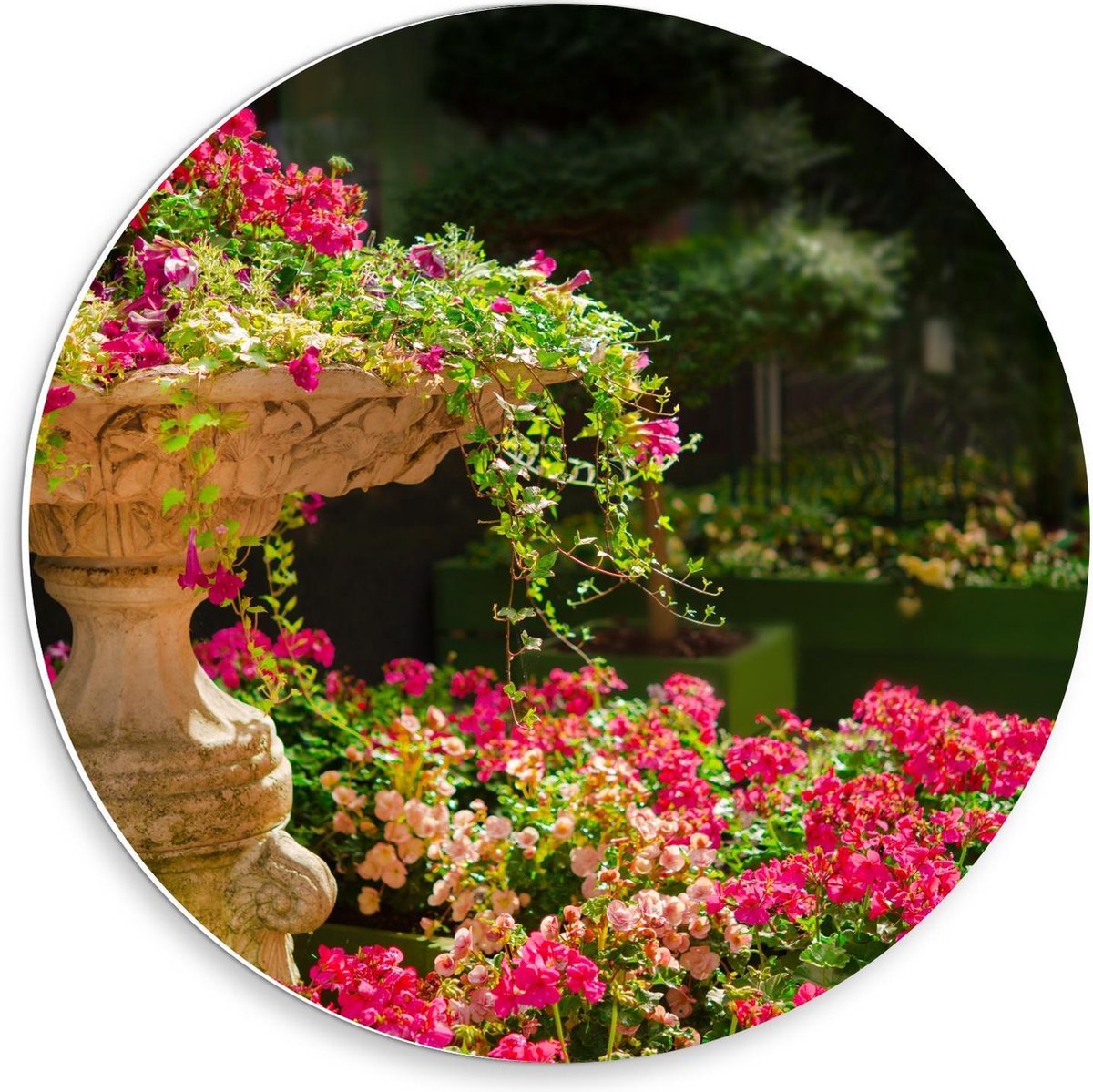 Forex Wandcirkel - Roze Bloemenstruik met Fontein - 30x30cm Foto op Wandcirkel (met ophang