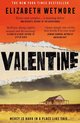 Valentine A Stunning Debut and a New York Times Bestseller