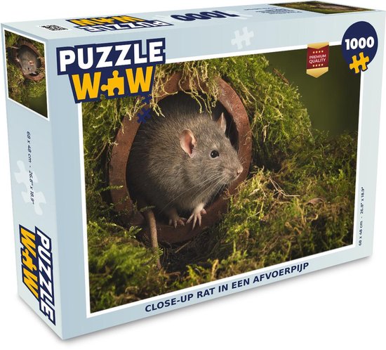 Puzzle Rats 1000 pièces - Rat en gros plan dans un tuyau de vidange |  bol.com