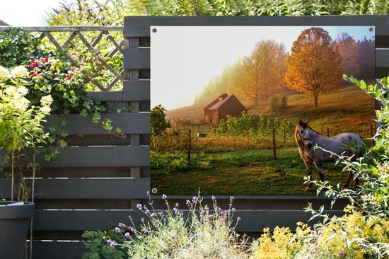 Muurdecoratie buiten Grasveld met paard in Vermont - 160x120 cm - Tuindoek - Buitenposter